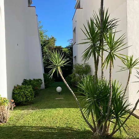 Apartment Moriani